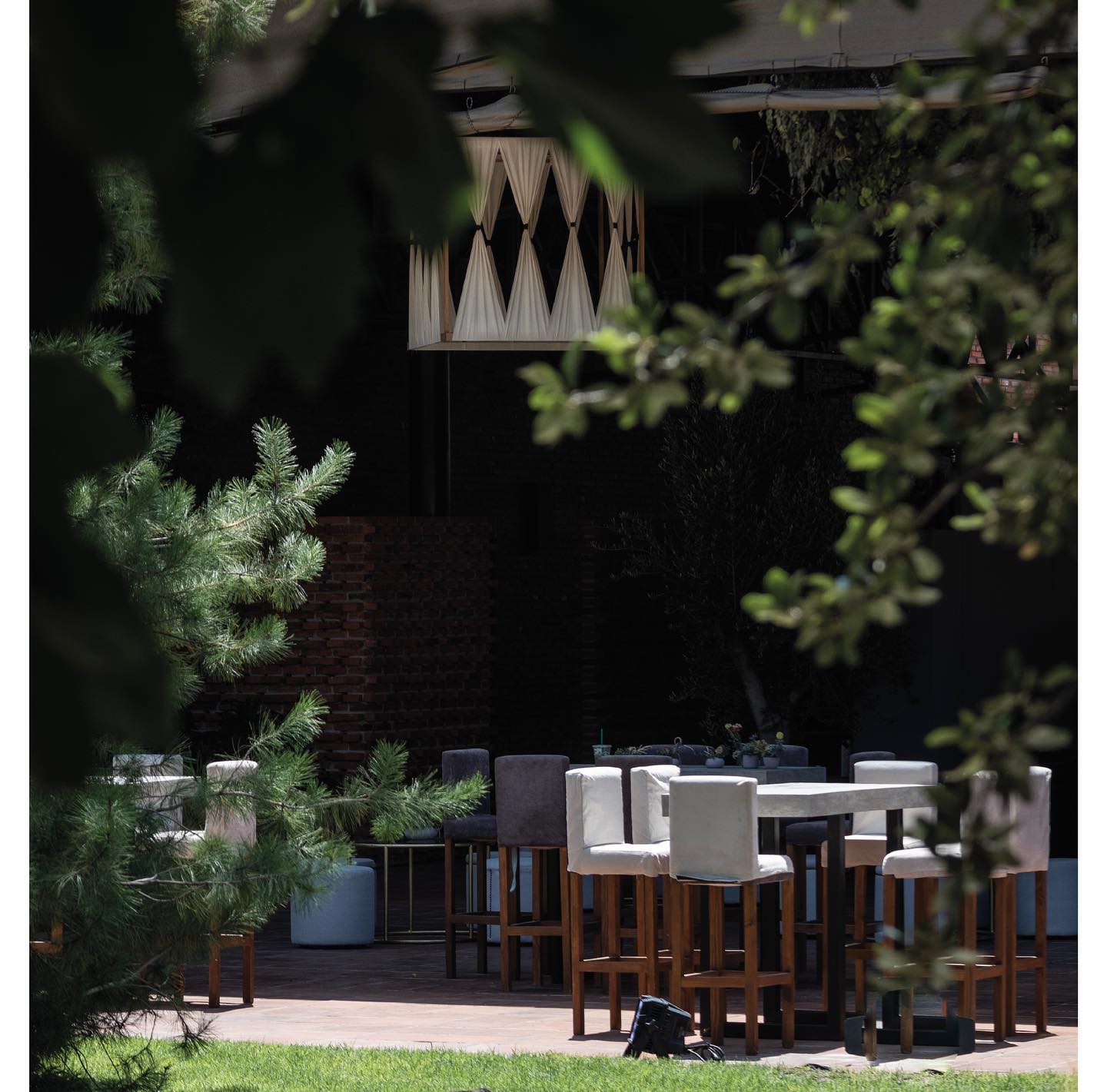 Lounge en jardín