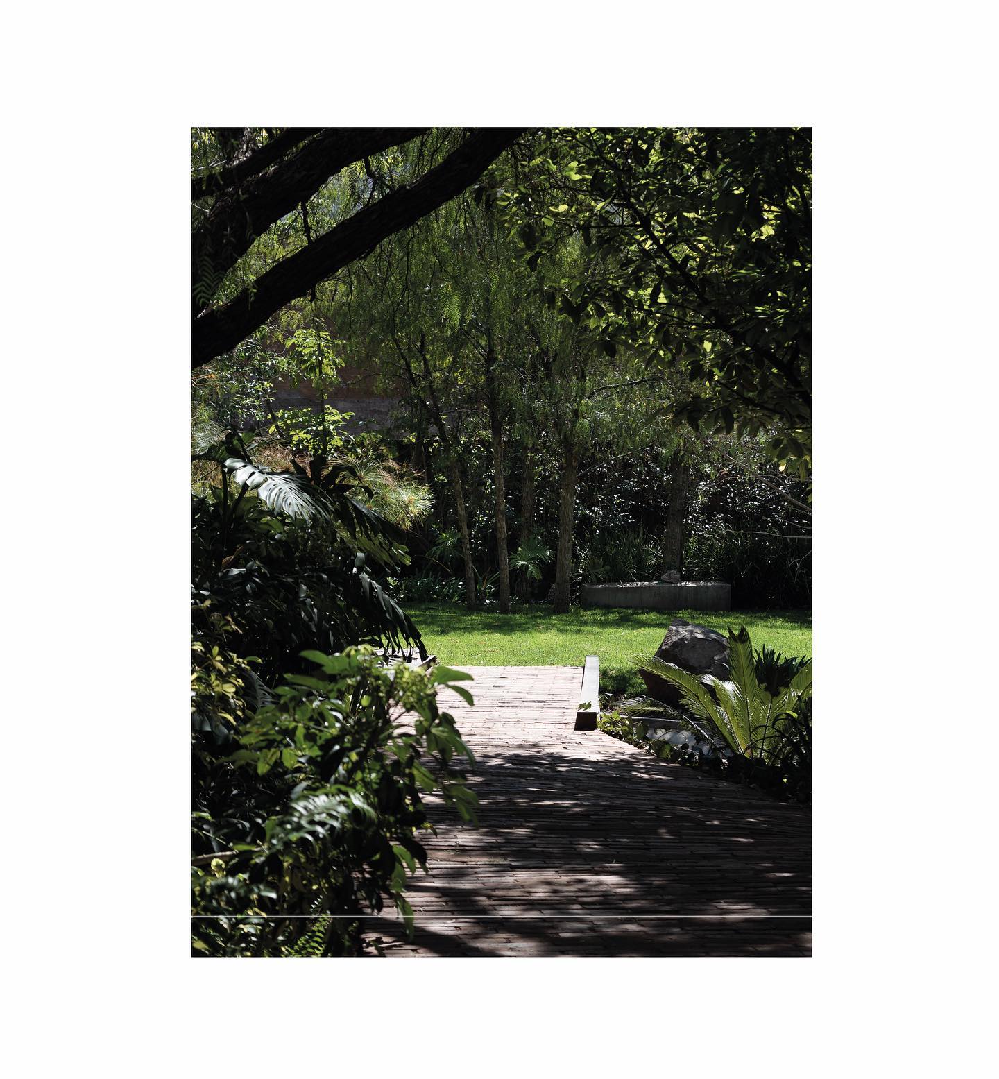 Camino al jardín